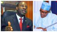 I was asked to reject Buhari’s appointment ‘because there’s no money in it’ - Soludo