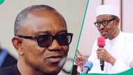 Peter Obi under fire for missing Buhari’s burial despite Travelling to Rome for Pope's
