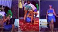 "Help her up": Video shows moment Nigerian lady, Mandie, fainted while doing 130 hours exotic dance marathon