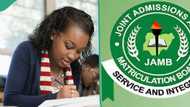 JAMB 2025: List of 9 UTME candidates with the highest scores, and their states of origin