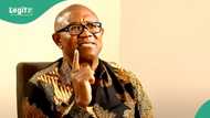 2027 election: "Why I want to be president for one-single term," Peter Obi speaks