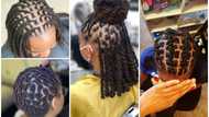 30 beginner short loc styles for women that are simple but stylish