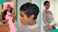 Sophia Momodu drawn into pixie cut drama as fans compare her hairstyle with Davido's wife Chioma