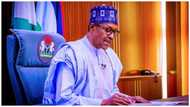 Buhari makes crucial appointment for Hydrocarbon Pollution Remediation Project