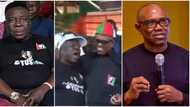 "He don run Agbado street": Reactions as Mr Ibu attends LP candidate Peter Obi’s rally in Jos, video trends