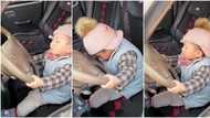 "Don't drink and drive": Boy sleeps off while on car steering, viral video gets 2.7 million views on TikTok