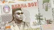 Burna Boy - Omo is an amazing new track for your playlist