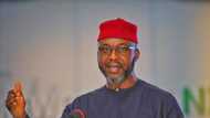 2023 election: Only south east presidency can guarantee national stability - Osita Chidoka