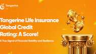 Tangerine Life Insurance Global Credit Rating: A Score!