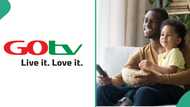 Multichoice slashes GOtv subscription package, announces new SupaPlus price