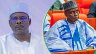 Senate replaces Ali Ndume after sacking him as chief whip for criticising Tinubu