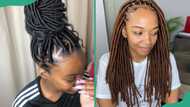 32+ stunning Brazilian wool hairstyles popular in Nigeria today