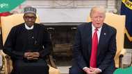 How late Buhari stood up to Trump at White House over alleged Christian genocide