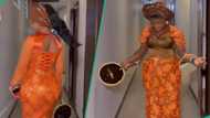 "They look exquisite": Asoebi ladies give stylish vibes in gorgeous outfits at wedding, video trends