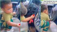 Smart little girl hops into driving seat of mum's car, attempts to drive in video, people react
