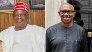 'Yan a mutun Peter Obi: A bar maganar maja tsakanin Kwankwaso da Peter Obi