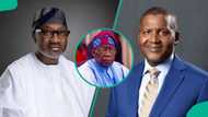 Billionaire Otedola gives Dangote's refinery a "nickname", commends Tinubu