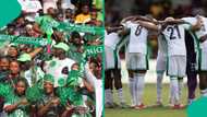 2026 WCQ: Former Super Eagles star lambasts Nigerians celebrating South Africa's points deduction
