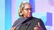 Nigerian government borrows N2.45 trillion from CBN, World Bank warns of existential threat