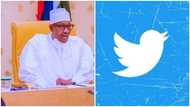 Buhari's govt blows hot, slams Twitter again, grievance revealed