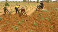 War of words as Nigerian farmers break silence after allegation they also carry AK-47 like herders