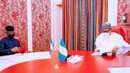 Just in: Details emerge as Osinbajo meets President Buhari, briefs him about key issues