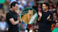 Premier League: Mysterious cat predicts result of Aston Villa vs Arsenal