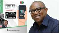 Young Nigerian launches mobile app to mobilise support for prominent presidential candidate