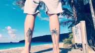 Get inspired by these 50 palm tree tattoo design ideas for men and women