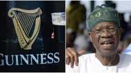 FG's new policy to compel Guinness, Gulder, others to invest 30% budget into Nigerian league