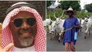 FG should give me Ruga; I’m now a Miyetti Allah member - Melaye makes surprising revelation