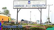 Ambrose Alli University Reacts To Report Of Owing Workers 32 Months Salaries