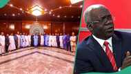 "How 36 governors handed over 1 of their constitutional power to FG": Falana on fire