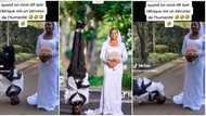 "She's so embarrassed": Bride keeps straight face as groom stands on his head in crazy wedding photoshoot