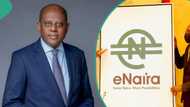 Commercio Partners make case for renewed adoption of CBN's e-Naira in Nigeria