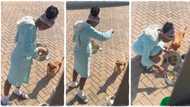 "Too delicious to resist": Lady eats food meant for dog, the animal watches in pain in viral video