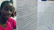 Nigerian girl with perfect handwriting gets huge job as photos of her book stuns many