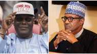 Drama, laughter at election tribunal as Atiku, PDP lawyers deny Buhari team use of video player