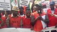 NLC announces planned nationwide strike, discloses reason for industrial action