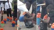 "Definition of scam": Lady exposes trick of roadside tomato sellers who allegedly cheat unsuspecting customers, video goes viral