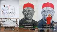 "You did well": Young man paints Peter Obi's photo on the wall in Kaduna state, Nigerians react