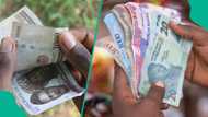 What low-income earners can do as PiggyVest survey shows millions of Nigerians have no savings
