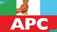 Anambra 2025: APC speaks on why zoning formula is not needed to field candidates