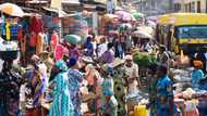 Nigeria Post-COVID Economy: Seek ye first human capital development
