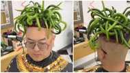 "Pepper them gang": Viral video of man with green stalky hairstyle attracts funny nicknames