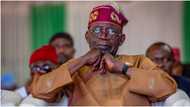 Fuel subsidy removal: Tinubu gets fresh demands from TUC to avert strike