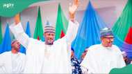 What Buhari told me about Tinubu, Katsina Governor Radda recounts