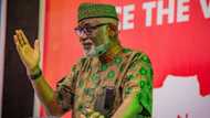 Ondo forests: Afenifere backs Governor Akeredolu’s quit notice to herdsmen