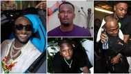Biggest force: Zubby Michael, Zlatan Ibile, BBNaija’ Hermes, Mayorkun, others celebrate Davido at 30
