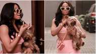 I love my dog more than I love humans - Media personality Toke Makinwa says